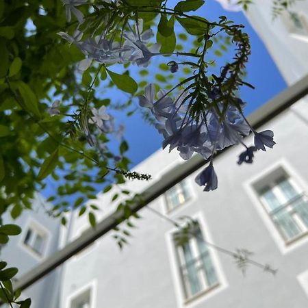 Hotel San Miguel Menorca Mahón Exteriér fotografie
